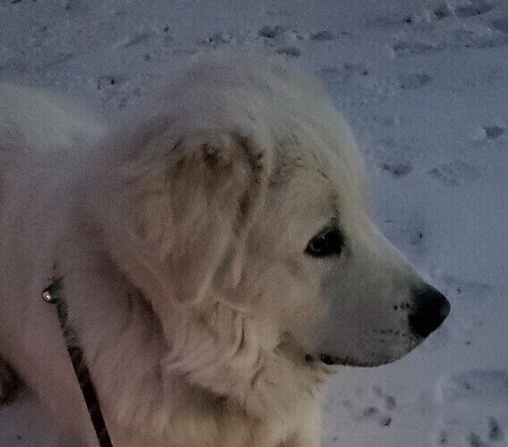 03597C87-A585-4A08-944C-5990EBC300C5