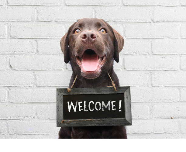 Welcome Dog