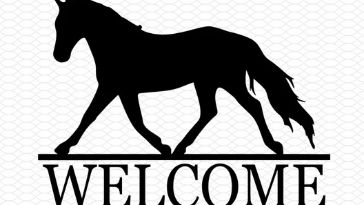 Welcome horse